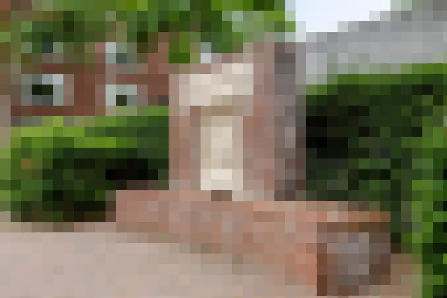 Paul Gabriëlstraat 96 Den Haag thumbnail 47