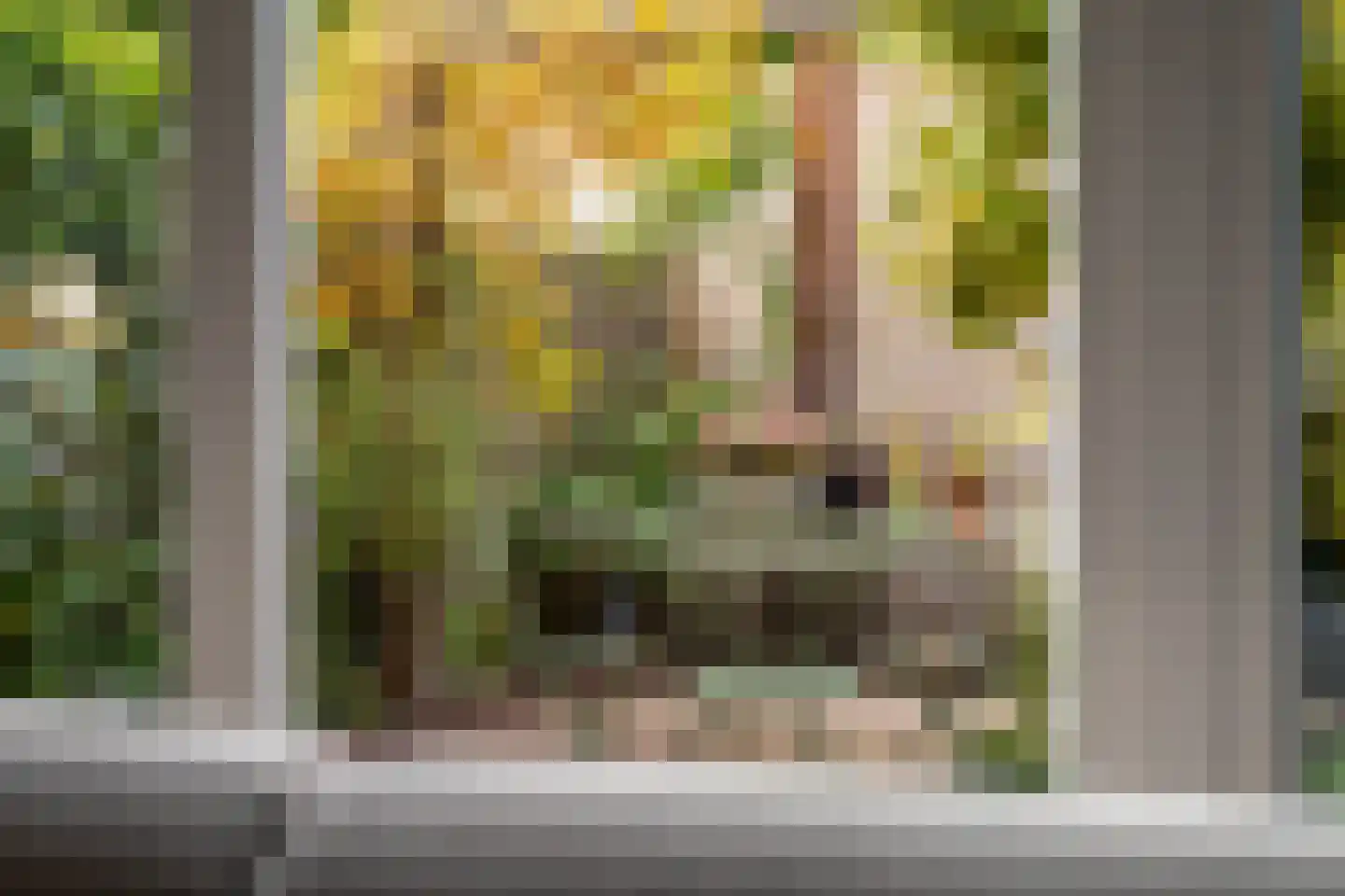 Paul H Spaakerf 14 Heemskerk thumbnail 44