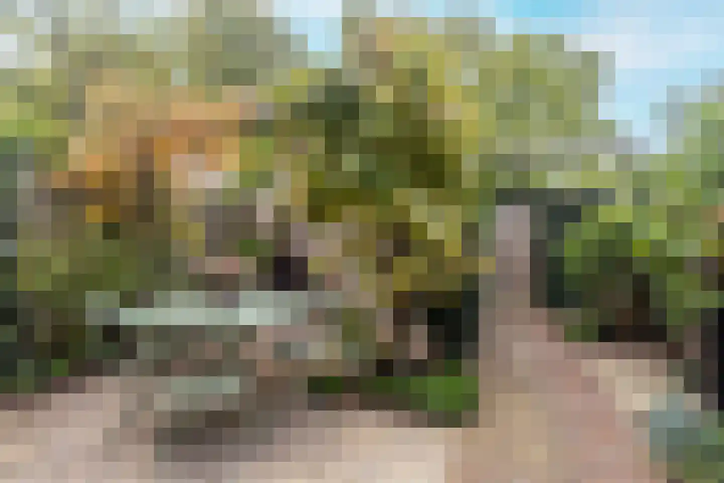 Paul H Spaakerf 14 Heemskerk thumbnail 45