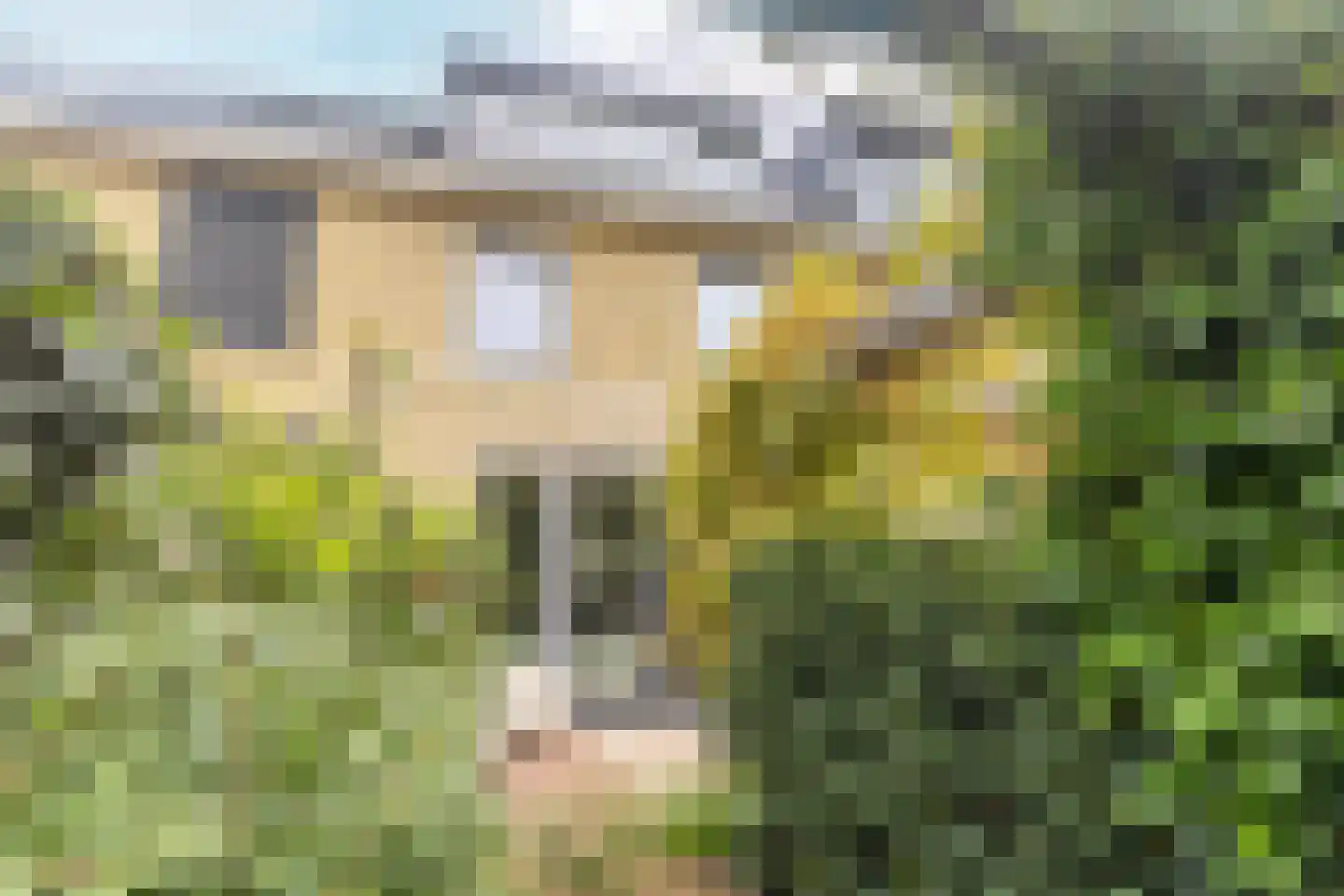 Paul H Spaakerf 14 Heemskerk thumbnail 47