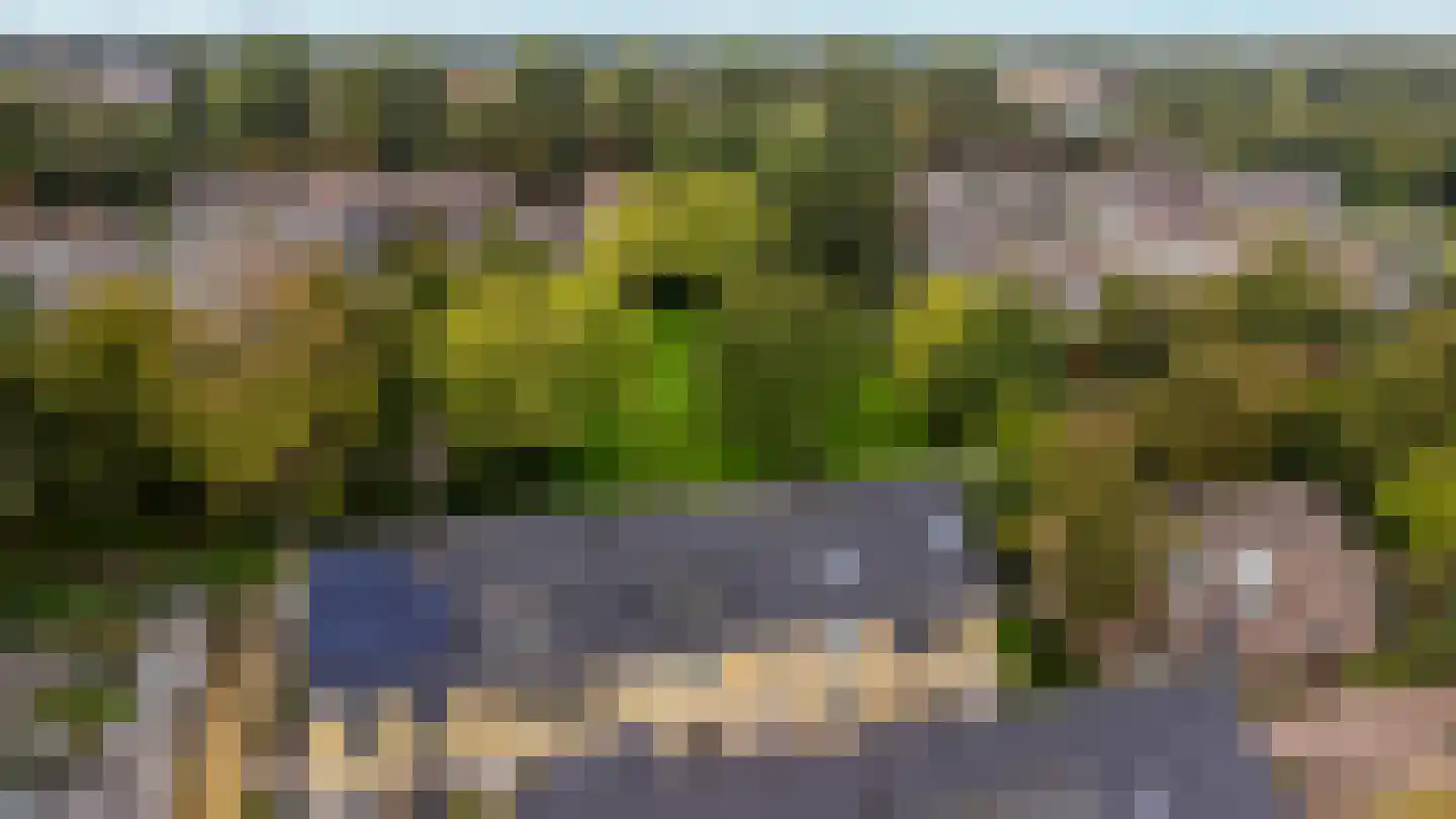 Paul H Spaakerf 14 Heemskerk thumbnail 6