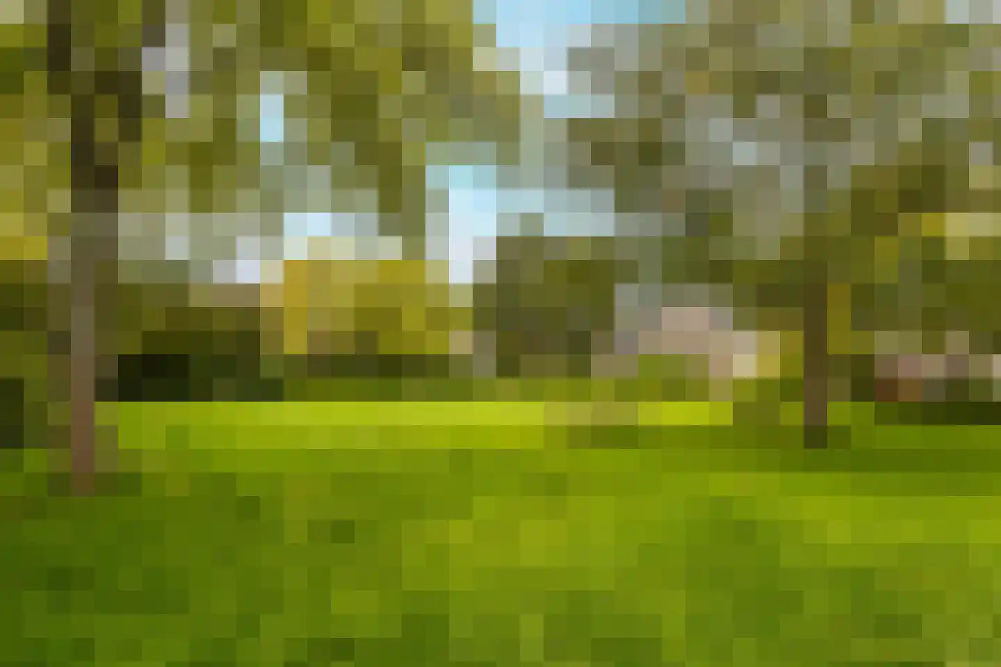 Paul H Spaakerf 14 Heemskerk thumbnail 7