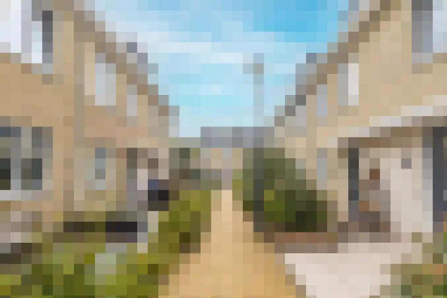 Paul H Spaakerf 14 Heemskerk thumbnail 8