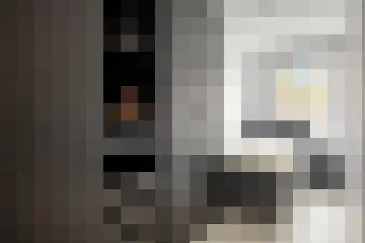 Paul Heijhof 25 Veenendaal thumbnail 10