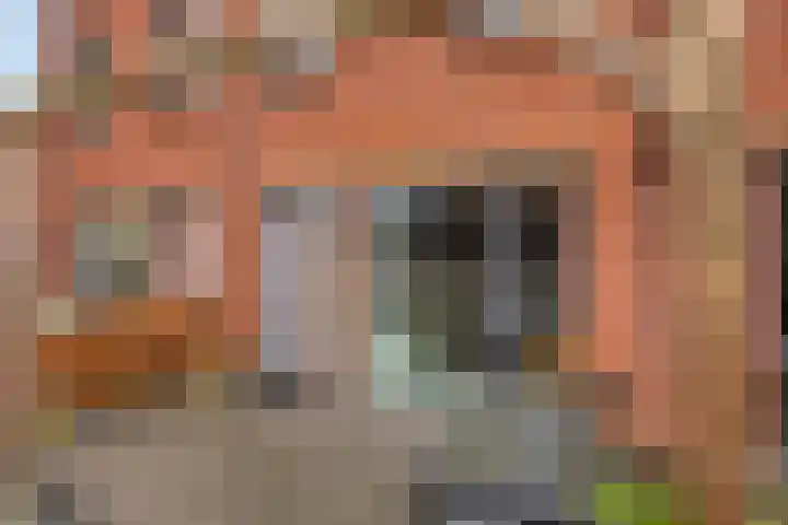 Paul Heijhof 25 Veenendaal thumbnail 4