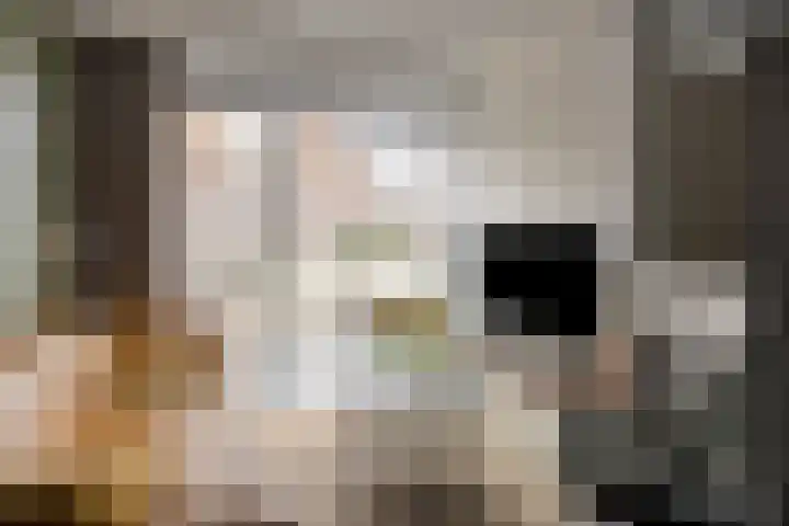 Paul Heijhof 25 Veenendaal thumbnail 6