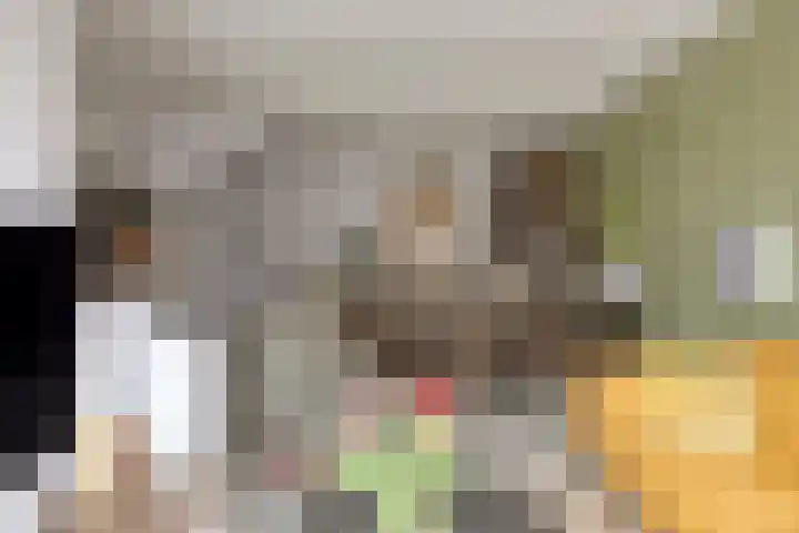 Paul Heijhof 25 Veenendaal thumbnail 8