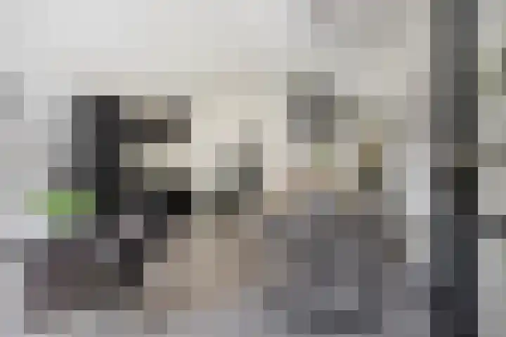 Paul Heijhof 27 Veenendaal thumbnail 11
