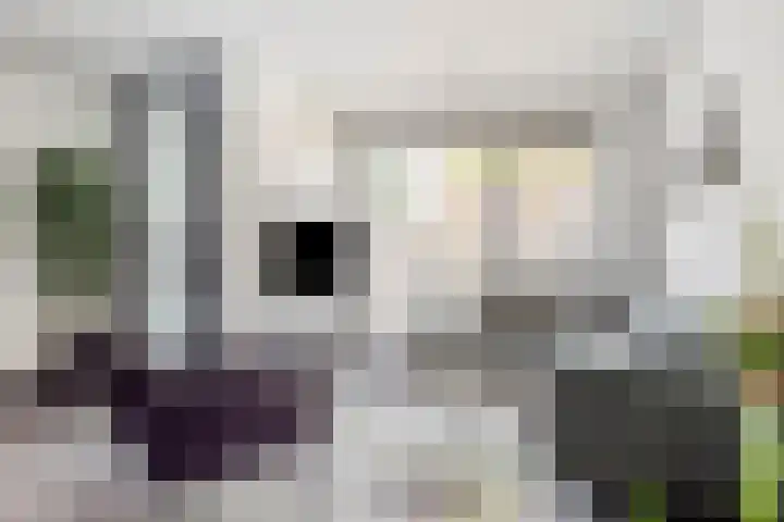 Paul Heijhof 27 Veenendaal thumbnail 12