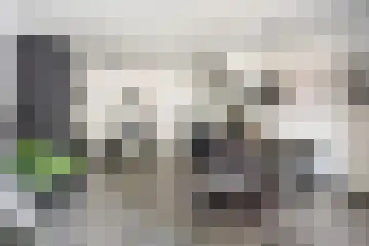 Paul Heijhof 27 Veenendaal thumbnail 13