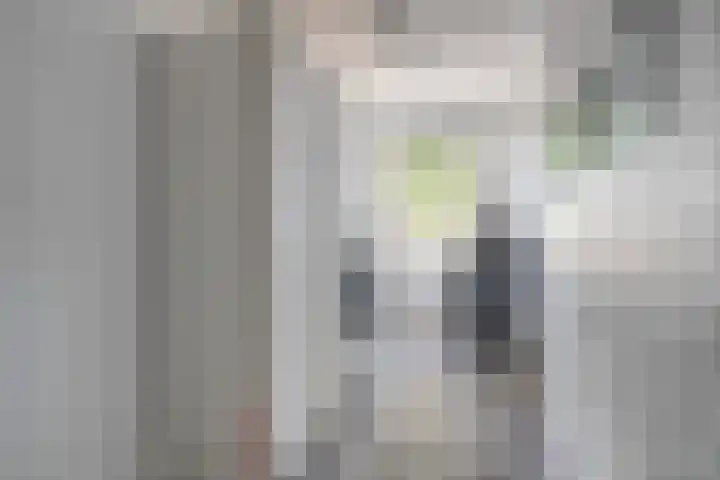 Paul Heijhof 27 Veenendaal thumbnail 25