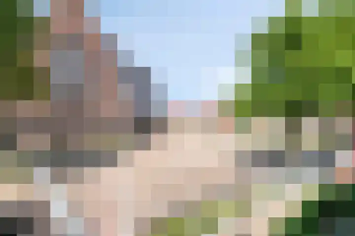 Paul Heijhof 27 Veenendaal thumbnail 26