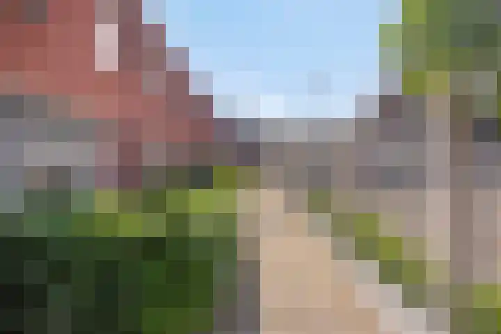 Paul Heijhof 27 Veenendaal thumbnail 28
