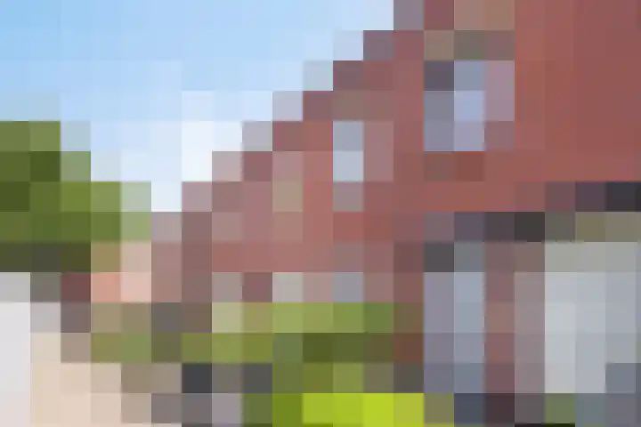 Paul Heijhof 27 Veenendaal thumbnail 29