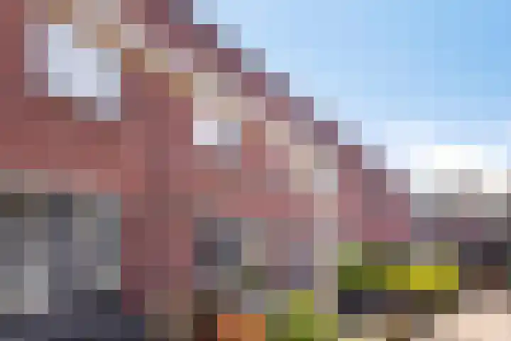 Paul Heijhof 27 Veenendaal thumbnail 31