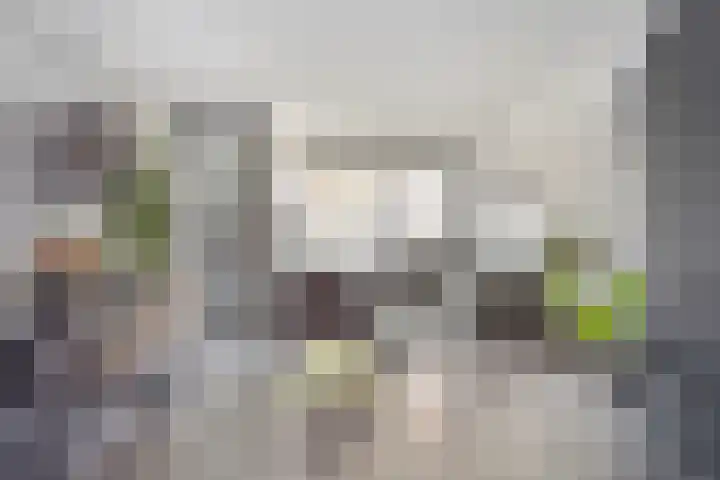 Paul Heijhof 27 Veenendaal thumbnail 36