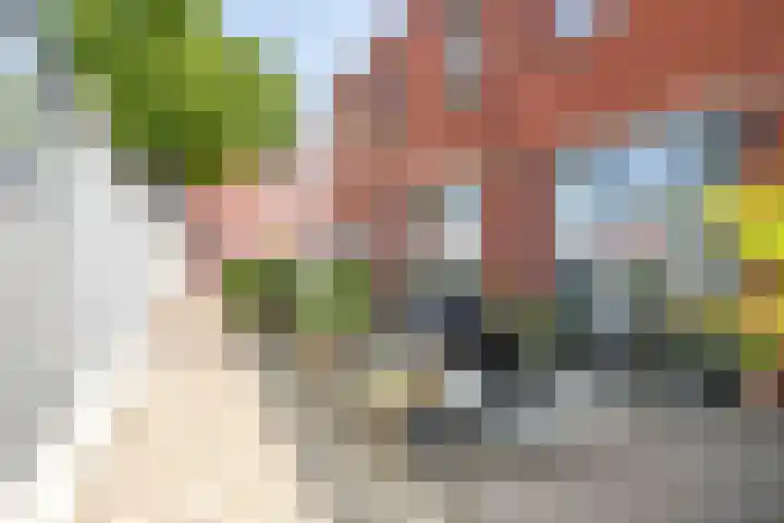 Paul Heijhof 27 Veenendaal thumbnail 6
