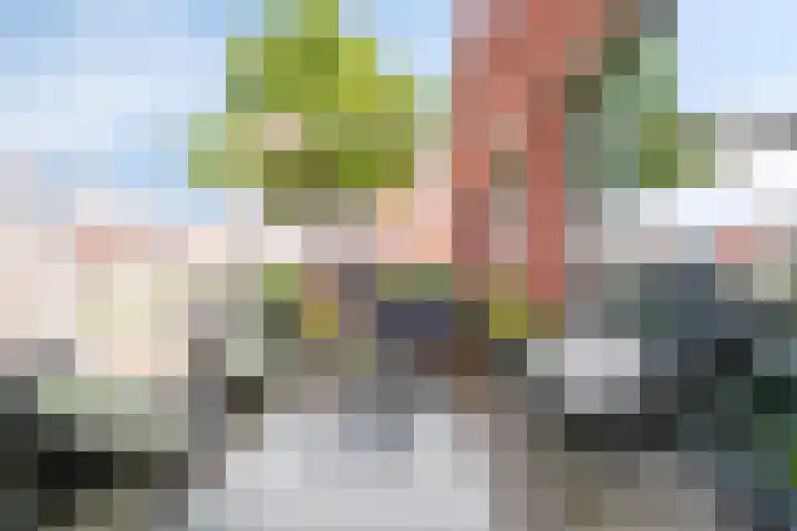 Paul Heijhof 27 Veenendaal thumbnail 7