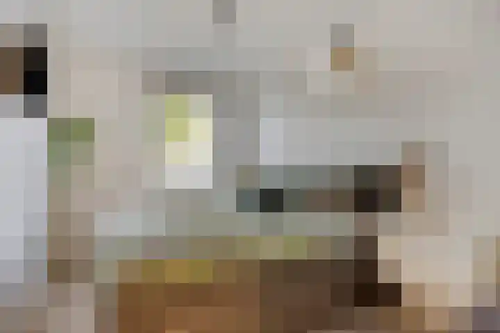 Paul Heijhof 29 Veenendaal thumbnail 15