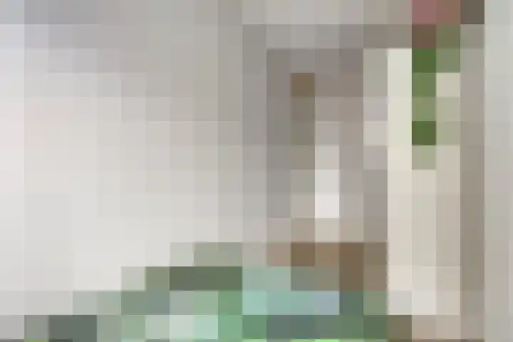 Paul Heijhof 29 Veenendaal thumbnail 18
