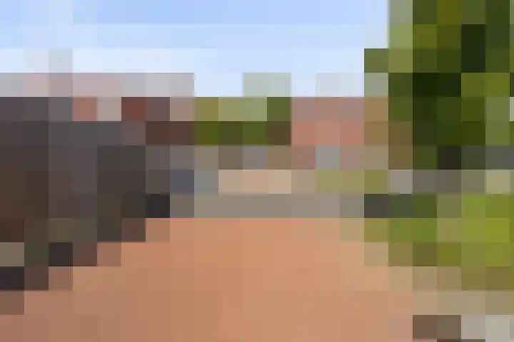 Paul Heijhof 29 Veenendaal thumbnail 23