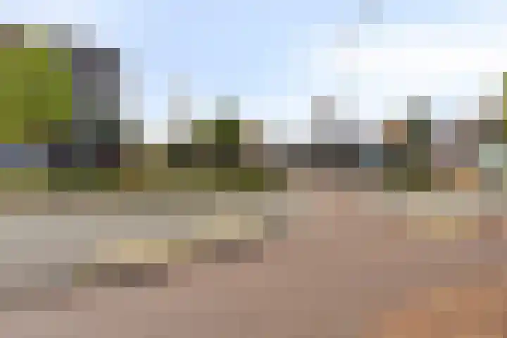 Paul Heijhof 29 Veenendaal thumbnail 24