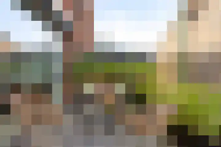 Paul Heijhof 29 Veenendaal thumbnail 4