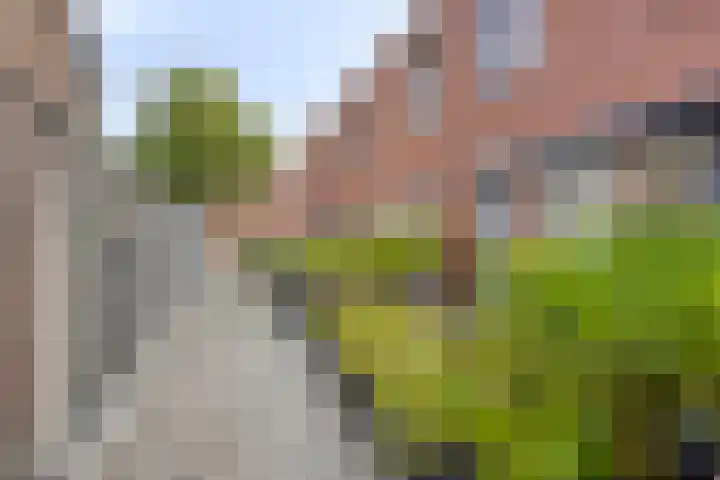 Paul Heijhof 29 Veenendaal thumbnail 5