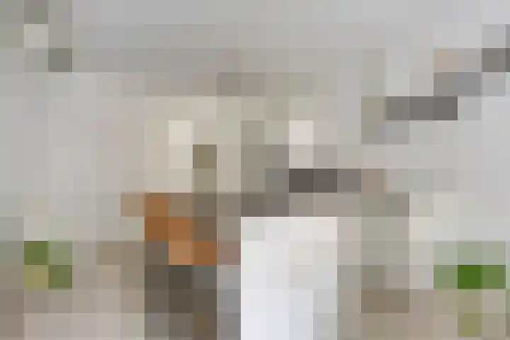 Paul Heijhof 29 Veenendaal thumbnail 7