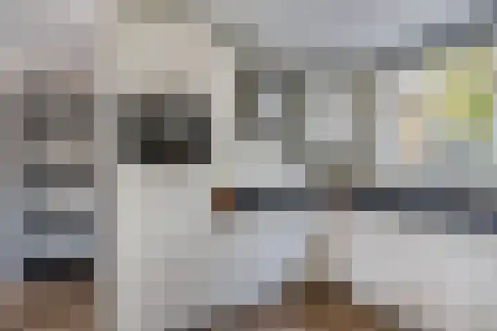 Paul Henri Spaakring 17 Vlaardingen thumbnail 14