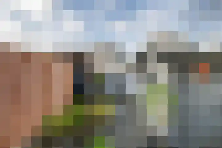 Paul Henri Spaakring 17 Vlaardingen thumbnail 17