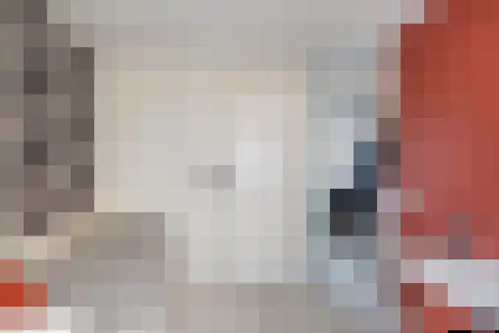 Paul Henri Spaakring 17 Vlaardingen thumbnail 23