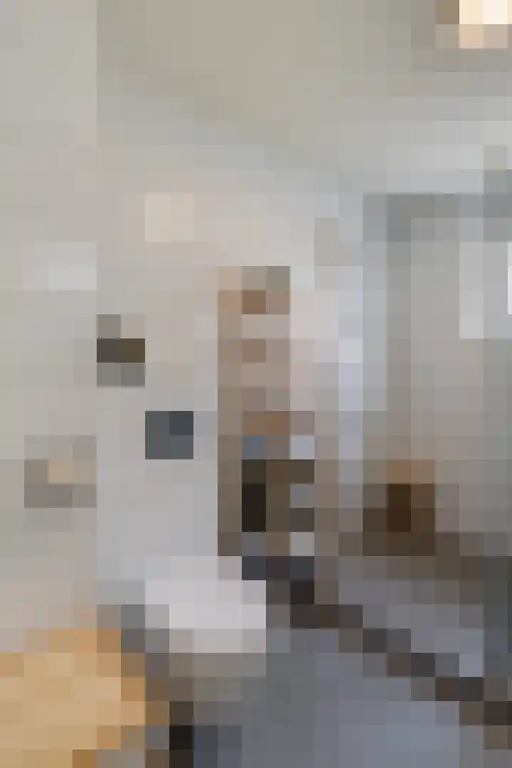 Paul Henri Spaakring 17 Vlaardingen thumbnail 28