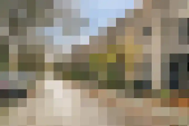 Paul Henri Spaakring 17 Vlaardingen thumbnail 35