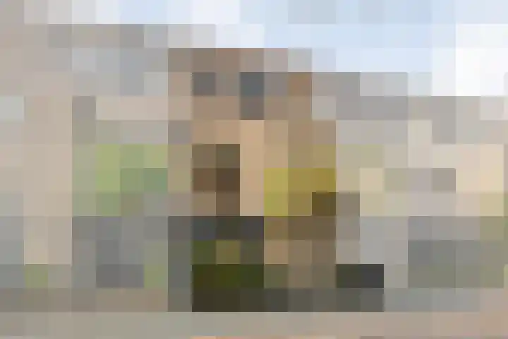 Paul Henri Spaakring 17 Vlaardingen thumbnail 4