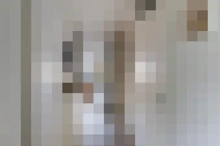 Paul Henri Spaakring 17 Vlaardingen thumbnail 5