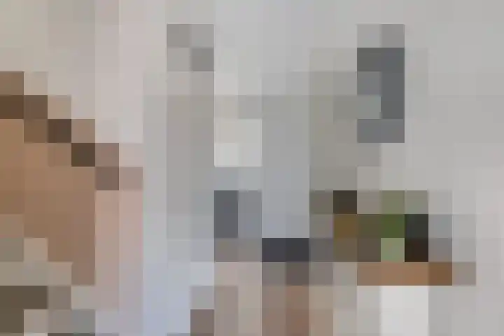 Paul Henri Spaakring 17 Vlaardingen thumbnail 6