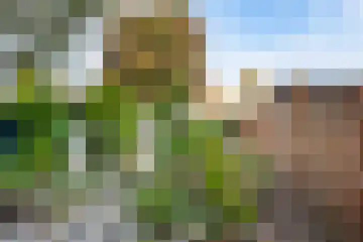 Paul Henri Spaakring 28 Vlaardingen thumbnail 17