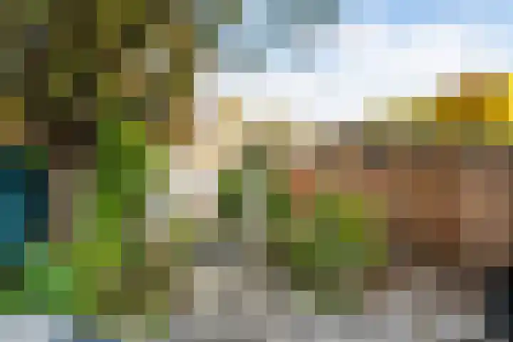 Paul Henri Spaakring 28 Vlaardingen thumbnail 18