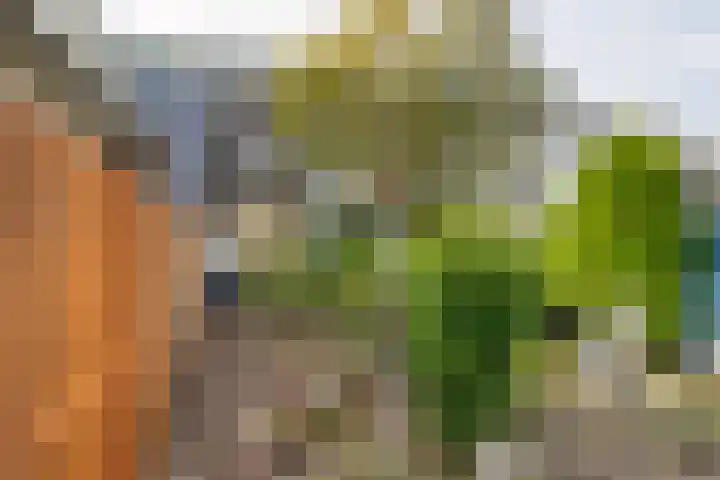 Paul Henri Spaakring 28 Vlaardingen thumbnail 19