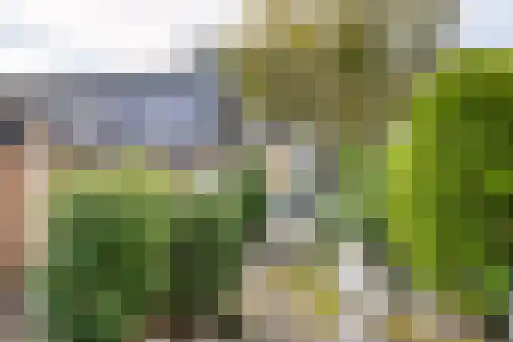 Paul Henri Spaakring 28 Vlaardingen thumbnail 20
