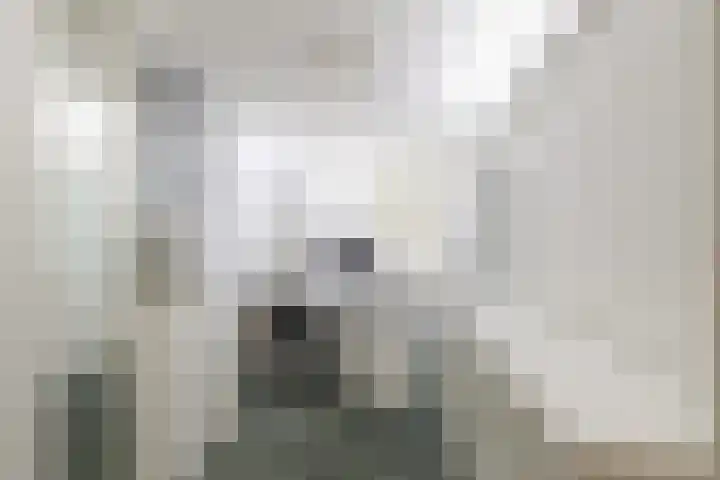 Paul Henri Spaakring 28 Vlaardingen thumbnail 24