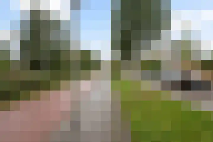 Paul Henri Spaakring 28 Vlaardingen thumbnail 5
