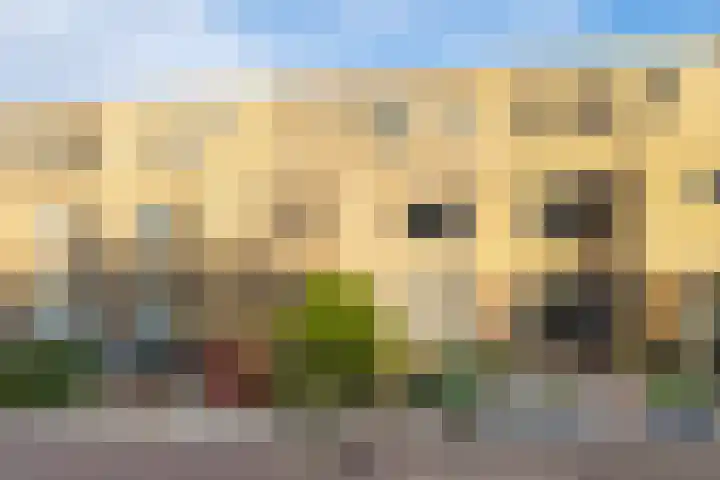 Paul Henri Spaakring 28 Vlaardingen thumbnail 6