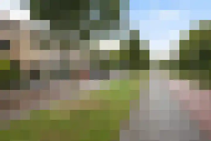Paul Henri Spaakring 28 Vlaardingen thumbnail 7