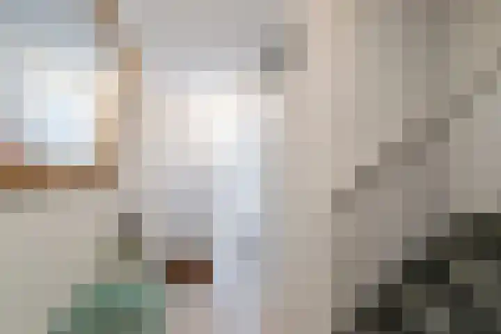 Paul Henri Spaakring 28 Vlaardingen thumbnail 9