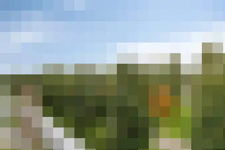 Paul Kleestraat 102 Almere thumbnail 32