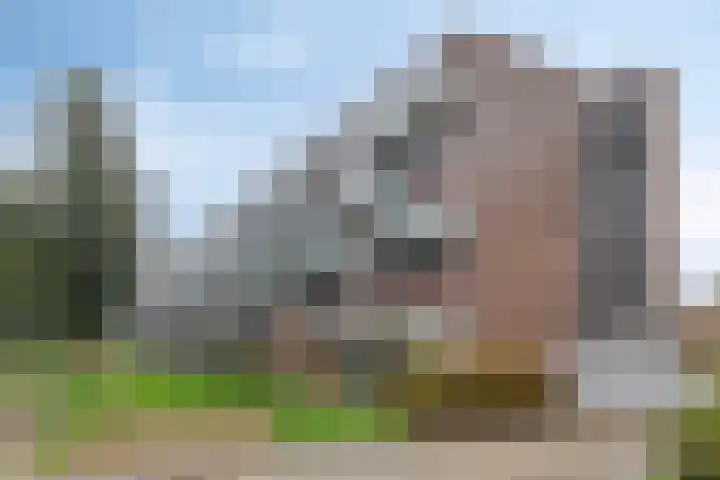 Paul Kleestraat 102 Almere thumbnail 35