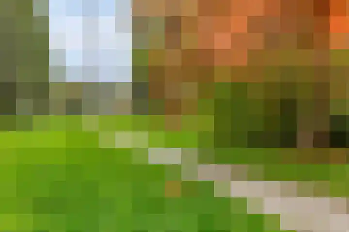 Paul Kleestraat 102 Almere thumbnail 38
