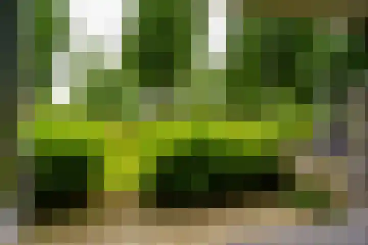 Paul Kleestraat 134 Almere thumbnail 44
